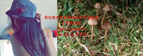 мяу мяу мука Алексеевка